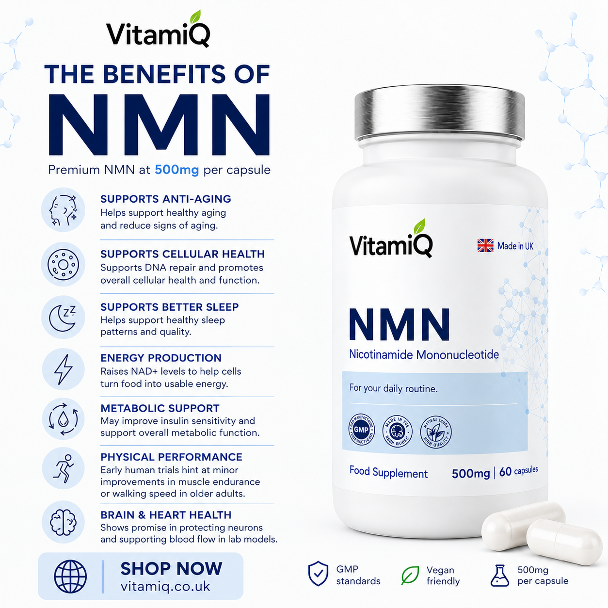 VitamiQ NMN 500mg – Vegan Capsules